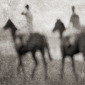 Racehorse Blur Double Pete Kelly