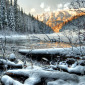Cold Morning on Olive Lake