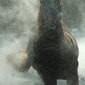 Snow-Charge