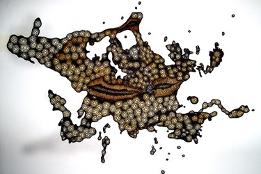 Collection Paper works; created by Paco Vila  Guillen