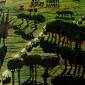andalucia 6