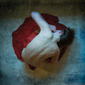 On the floor VII