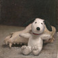 The dog and his toy