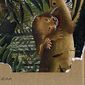 AMOR SELVATICO_20x14x02.jpg