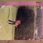 JAIME'S SWING_22x12x03.jpg