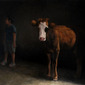 BOY & COW