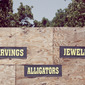 alligators