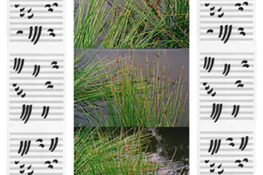 Collection graphic notations; created by Wittwulf  Y Malik