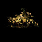 Still life with flowers, 2009