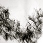 Untitled 25