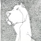 Pen 022
