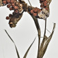 Structural Decay