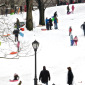 Sliding down the hill