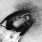 Linda Lieberman