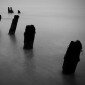Mark Tripp