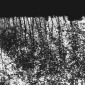 GMOA: First Project