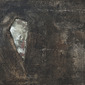 Anonymous XI
