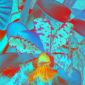 Orchid9e