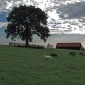 Midway, Kentucky 2009