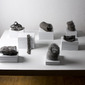 Organic Female Forms Patricia Schnall Gutierrez