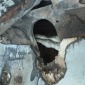 Breach