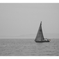Sailboat