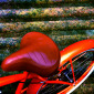 The Bike