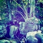 Forgotten
