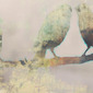 Three