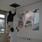 The not desired visibility 2012