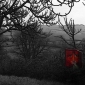 Colour - 13C-Painting in hedgerow