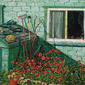 Poppies