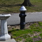 bird bath hydrant