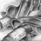 Screw Rotor Machine
