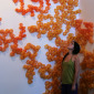 Proliferación 01