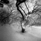 Snow storm