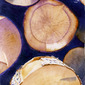 firewood