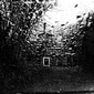 Rainy 8