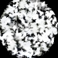 Negative Baby Rat Sphere ⌗88