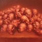 Chromosome - Orange