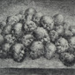 Chromosom -Black 