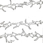 Stacheldraht