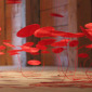 Lure (Series)