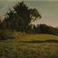 "In the early morning" Godfrey Blow