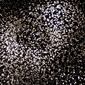 instance 261