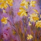 Claire Bull