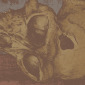 Fractured skull monkeys #1