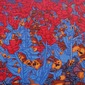 Cornucopia