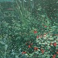 The Tropical Room (2008) 