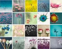Anne Staub